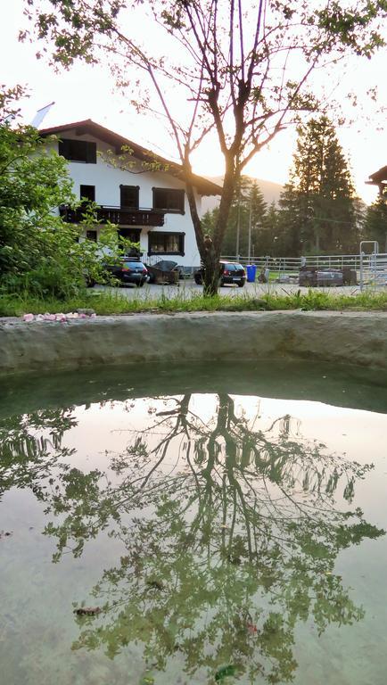 Apartamento Dreimaederlhaus Am Berg Pfronten Habitación foto